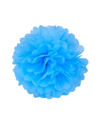 eBoot Tissue Paper Pom Poms Flower For Wedding Party Decoration