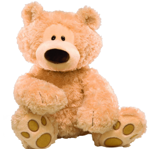 Teddy Bear