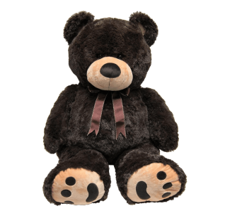 Huge Teddy Bear