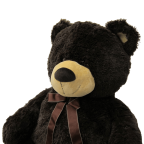 Huge Teddy Bear