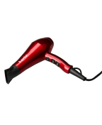 Berta Professional Blow Dryer