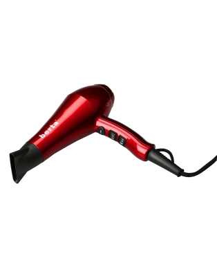 Berta Professional Blow Dryer