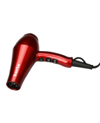 Berta Professional Blow Dryer