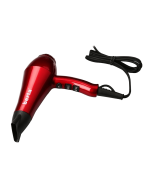 Berta Professional Blow Dryer