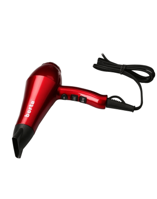 Berta Professional Blow Dryer