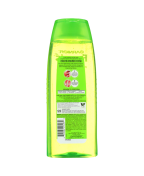 Garnier Fructis