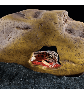 Exo Terra Crystal Cave, Medium 
