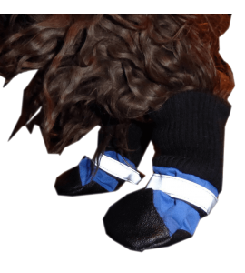 HDP Dog Boots Blue Set of 4 Medium 