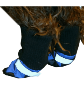 HDP Dog Boots Blue Set of 4 Medium 