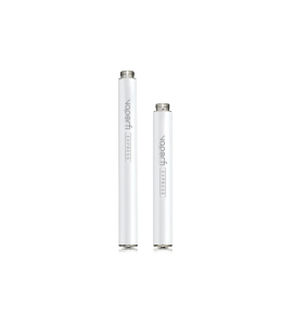 VaporFi Express Starter Kit