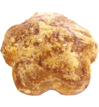 Gingerbread in the shape of a star 