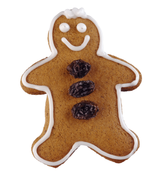Gingerbread Man Cookies