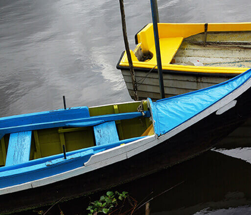 banner-1