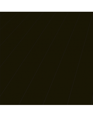 Elesgo Modern Black Laminate Flooring Super Gloss Extra Sensitive