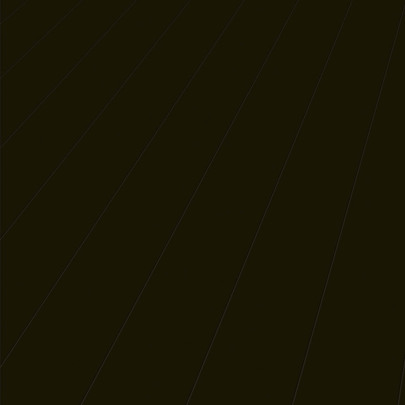 Elesgo Modern Black Laminate Flooring Super Gloss Extra Sensitive