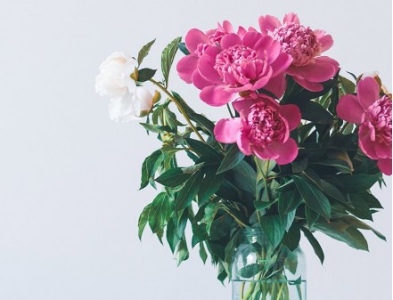 Ideal Freshness
