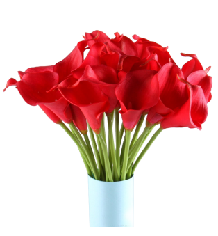 Calla Lilies with Matching Greens