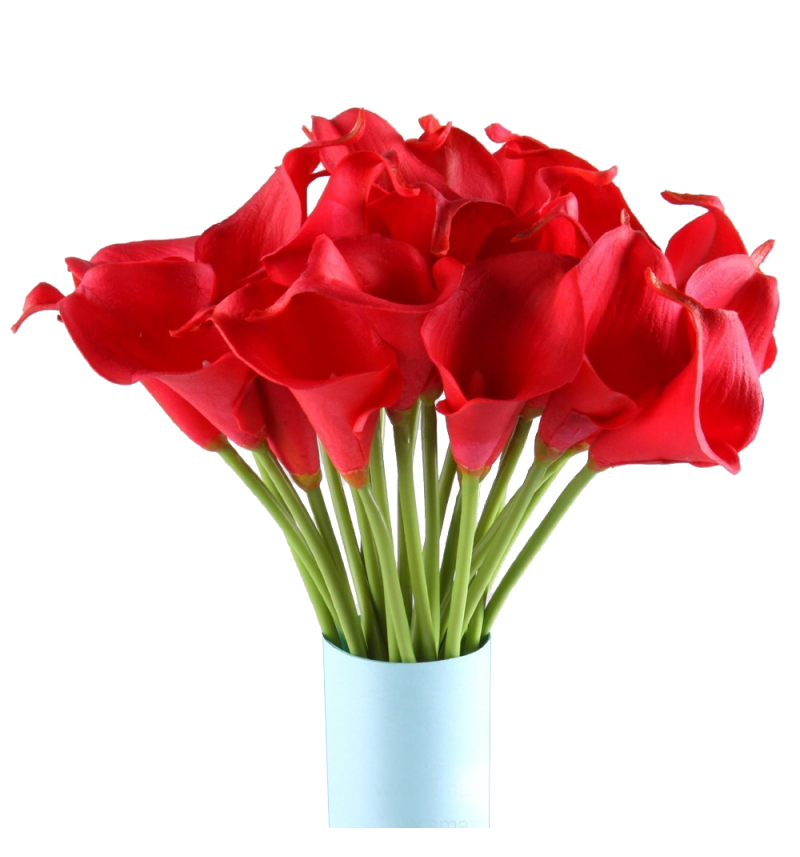 Calla Lilies with Matching Greens