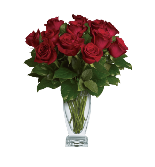 Classic Roses