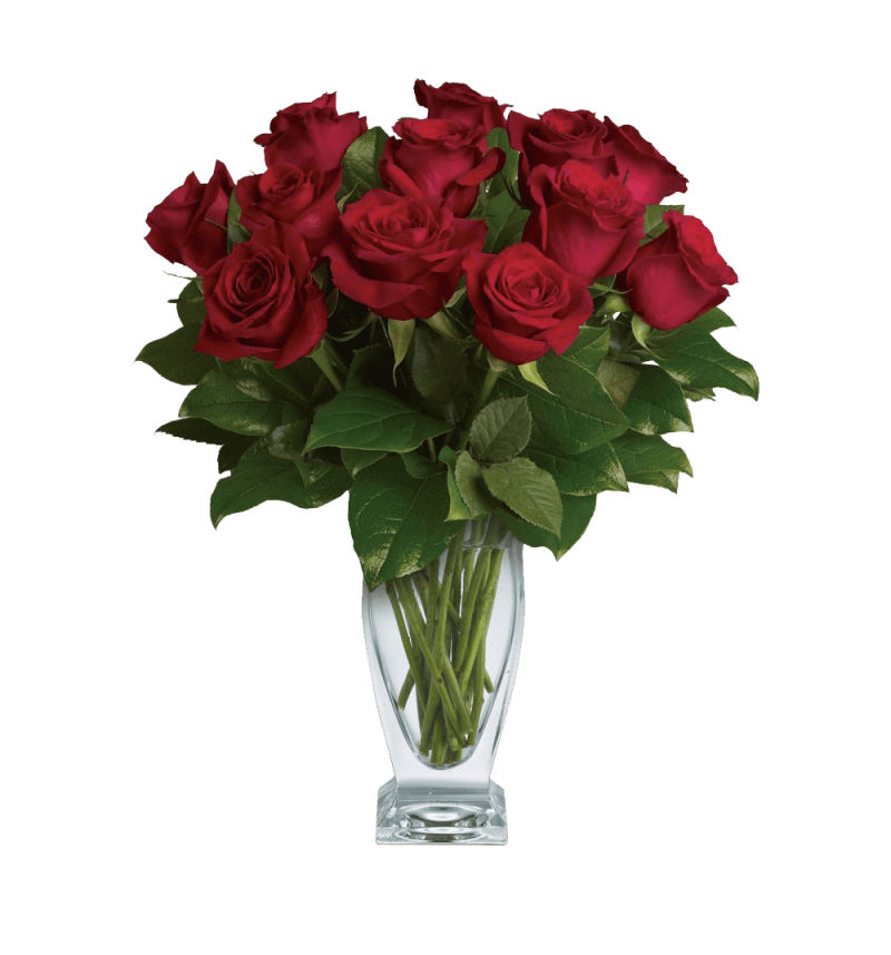 Classic Roses