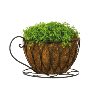 Coffee Cup Planter