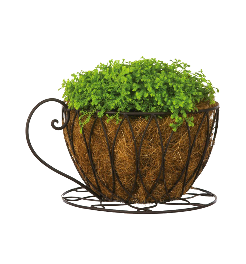 Coffee Cup Planter