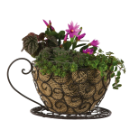 Coffee Cup Planter