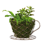 Coffee Cup Planter
