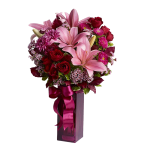 Asiatic Lilies
