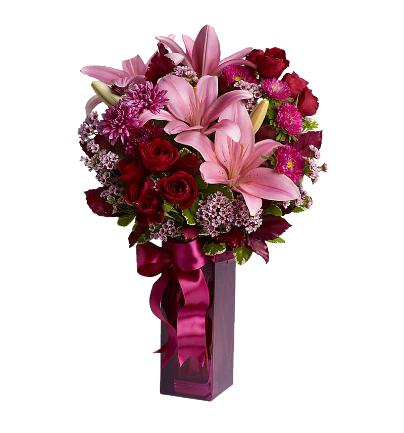 Asiatic Lilies