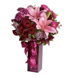 Asiatic Lilies