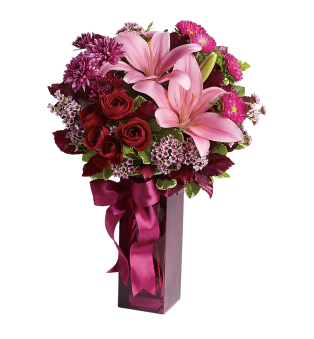 Asiatic Lilies