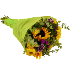 Solar Sunflower Cocktail