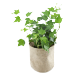 Classic Ivy Burlap Pot Cover