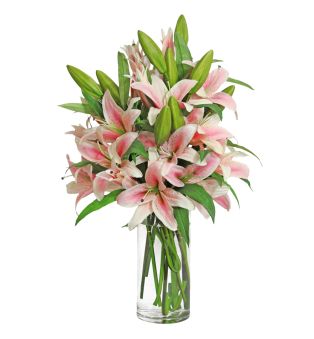 Pink Stargazer  Lily Bouquet