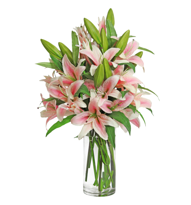 Pink Stargazer  Lily Bouquet