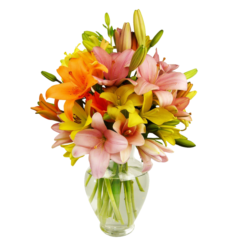 12 Stem Assorted  Asiatic Lily Bunch