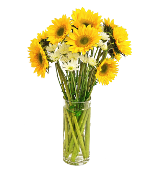 Solar Sunflower  Cocktail