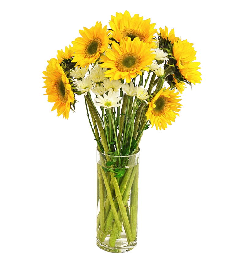 Solar Sunflower  Cocktail