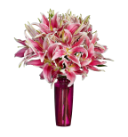 Stargazer Lily  Bouquet