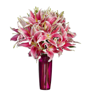 Stargazer Lily  Bouquet