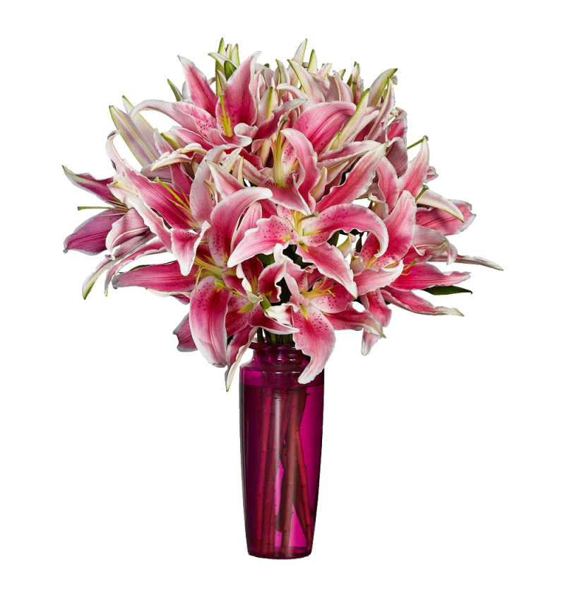 Stargazer Lily  Bouquet