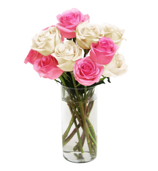 Pink&White Long Stemmed Roses