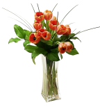 Tulips Arranged in a Vase