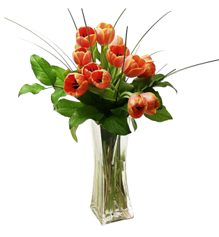 Tulips Arranged in a Vase
