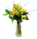 Tulips Arranged in a Vase