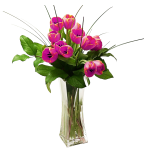 Tulips Arranged in a Vase