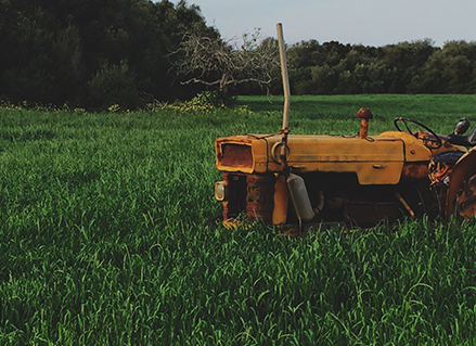 Crop IQ Technology’s novel organic nematicide  NEMA-DEAD approved by UAE