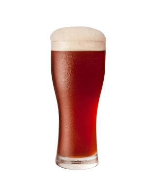 Heineken Lager