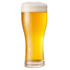 Heineken Lager